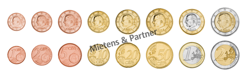 Belgien (Königreich) 1, 2, 5, 10, 20, 50 Euro Cent, 1, 2 Euro (06194)