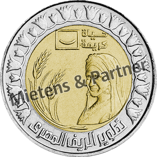 Ägypten (Arabische Republik) 1 Pound (63143) - 2