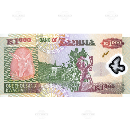 Zambia (Third Republic) 1.000 Kwacha (03787) - 2